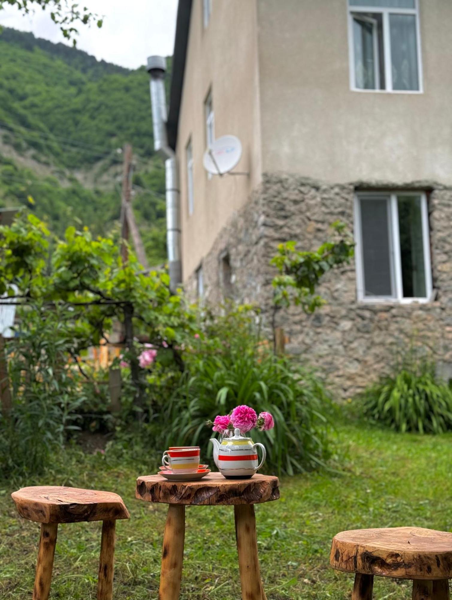 Barbara'S Eco-Cozy Guesthouse Mestia Exterior photo